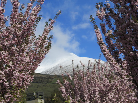 b0334436_06194705.jpg