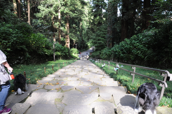 c0147241_19212179.jpg