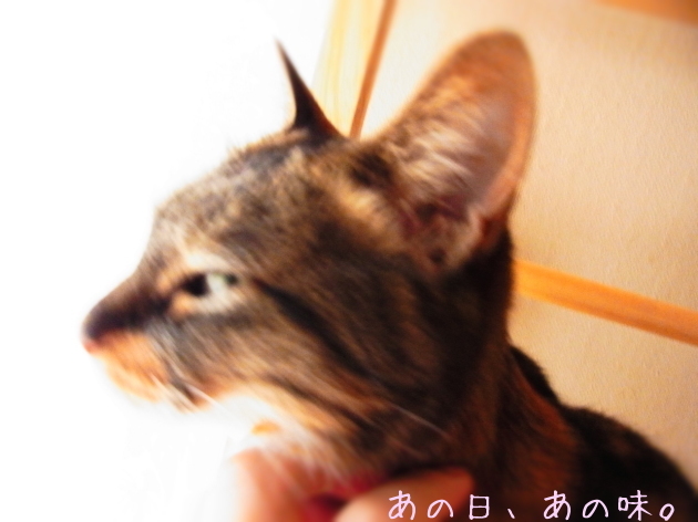 a0305046_10514802.jpg