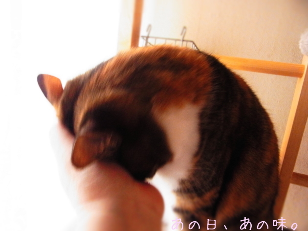 a0305046_10521498.jpg