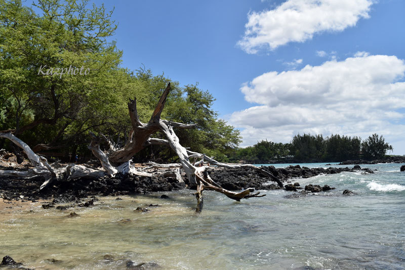 f0247849_22385283.jpg