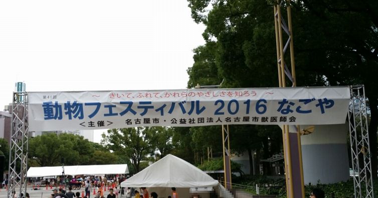a0130451_10313490.jpg