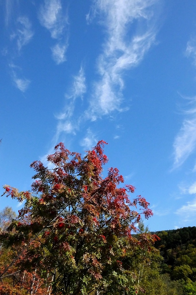 b0236251_14413111.jpg