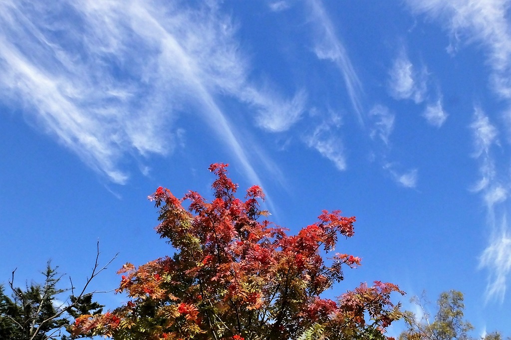 b0236251_14413780.jpg