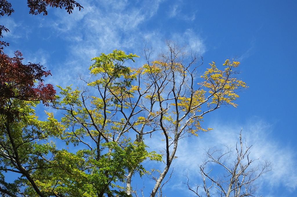 b0236251_14455085.jpg