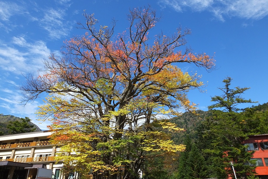 b0236251_14471831.jpg