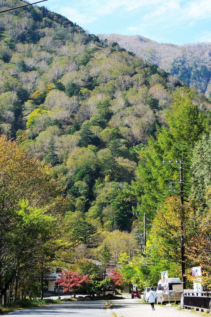 b0236251_1448840.jpg