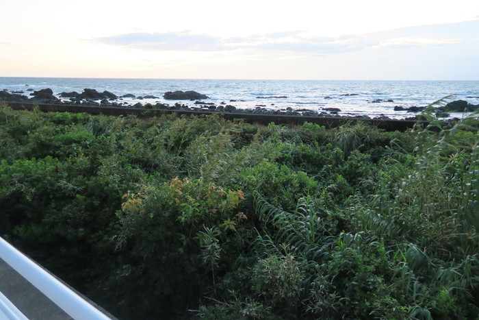 f0036857_2013496.jpg