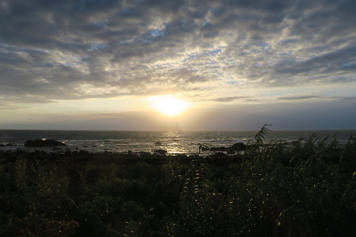 f0036857_2015582.jpg