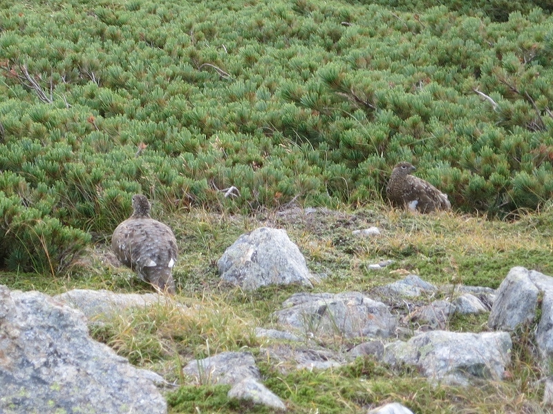 e0170558_23061326.jpg