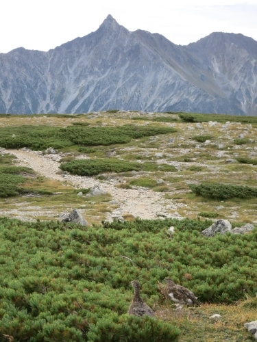 e0170558_23134066.jpg