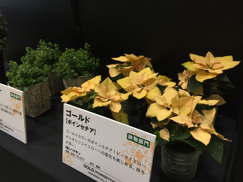 c0005759_15213389.jpg