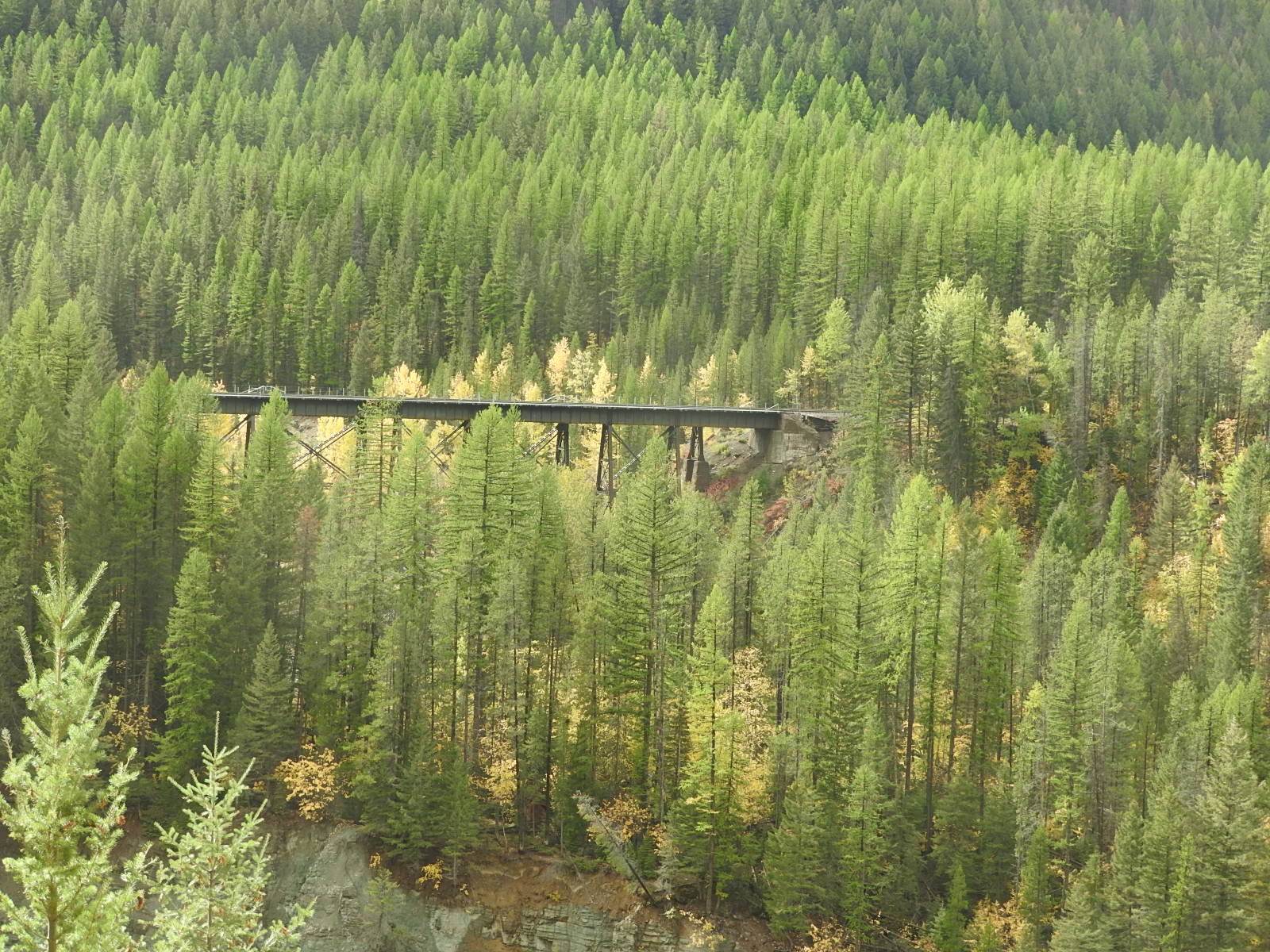 c0115366_12453927.jpg