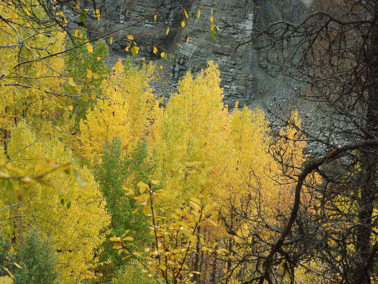 c0115366_12494220.jpg