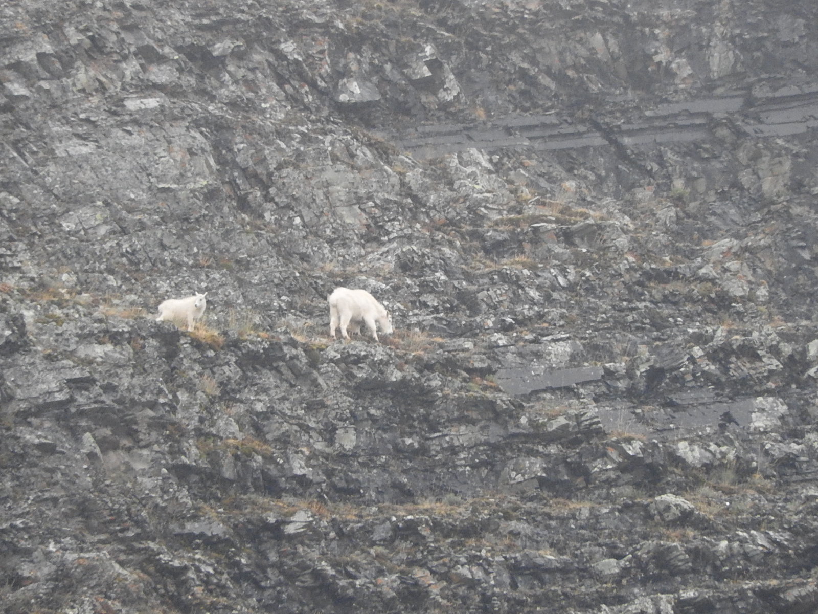 c0115366_32068.jpg