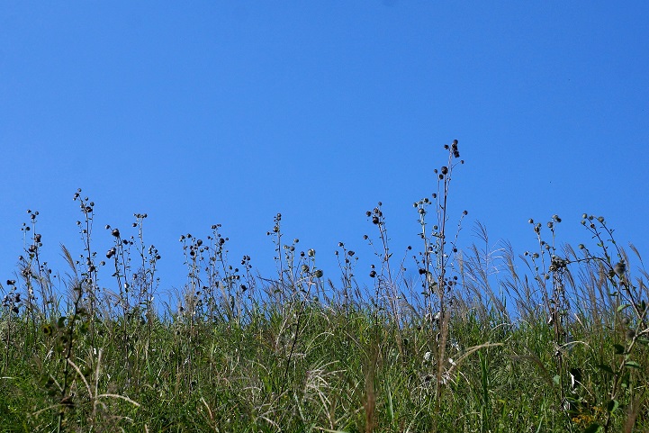 c0248473_19242766.jpg
