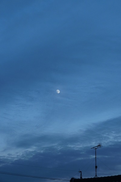 b0326576_21202299.jpg