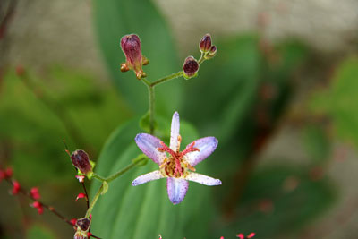 c0152779_112021.jpg