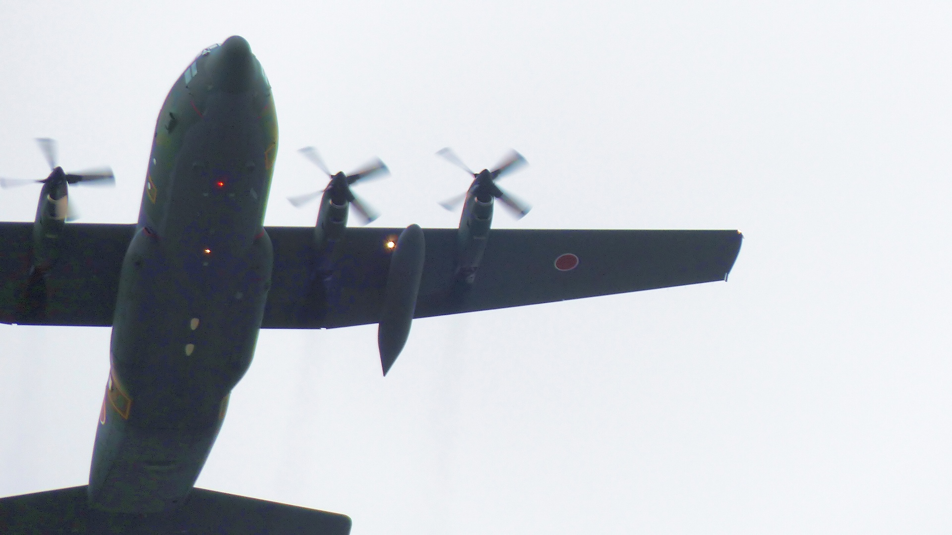 a0185081_120134.jpg