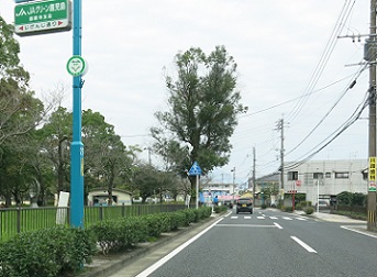 e0130185_1925083.jpg
