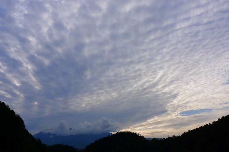 a0130586_16434788.jpg
