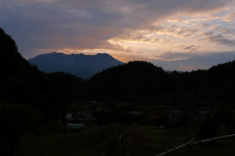 a0130586_1738185.jpg