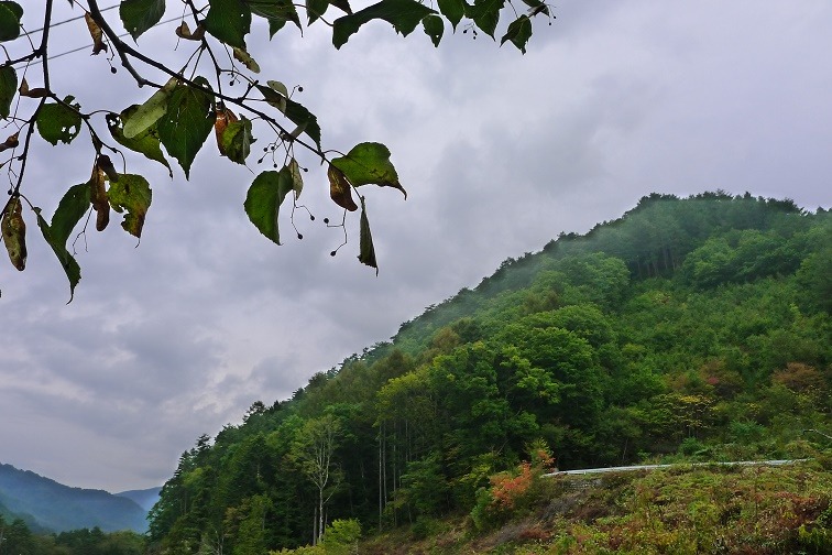 a0130586_8511199.jpg