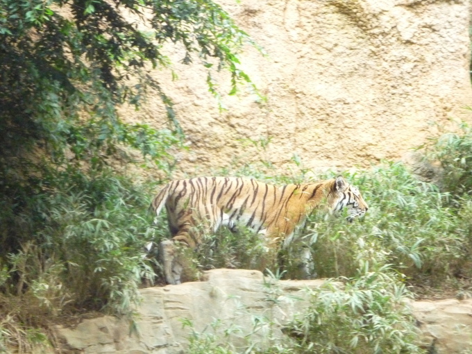 b0197486_973159.jpg