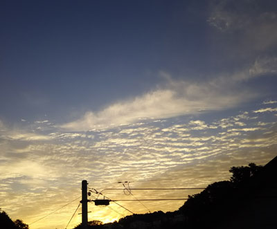 a0207689_16255929.jpg