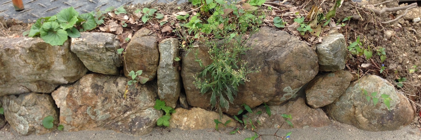 c0170789_13534598.jpg