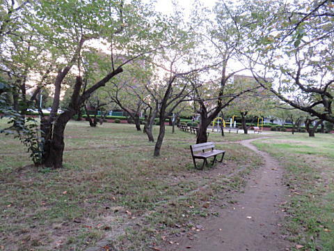 d0046702_5144239.jpg
