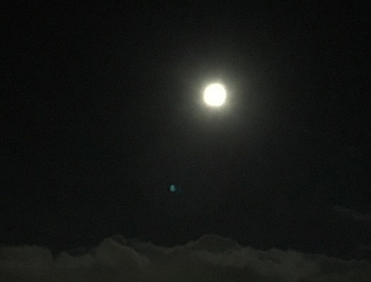 a0337807_21152851.jpg