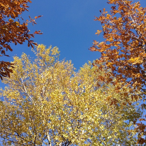 e0052716_10584864.jpg