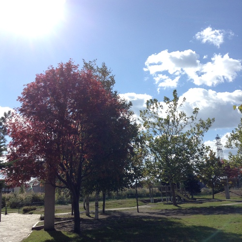 e0052716_116315.jpg