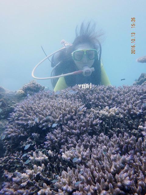 d0342920_18382643.jpg