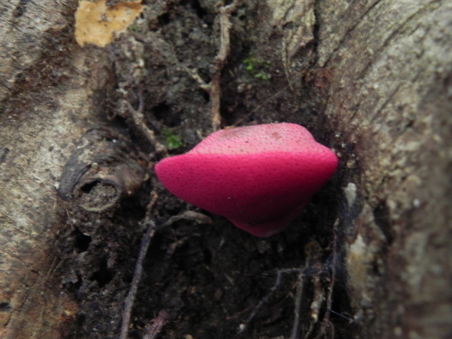 e0352220_14254174.jpg