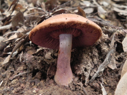 e0352220_14271257.jpg