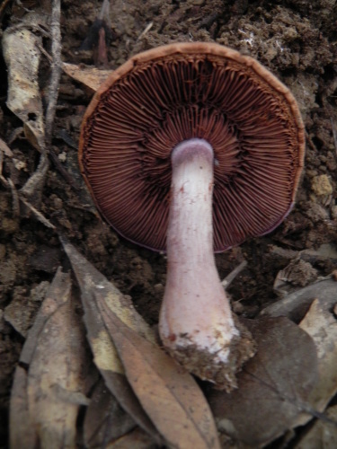e0352220_14284401.jpg