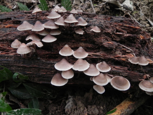 e0352220_14303309.jpg