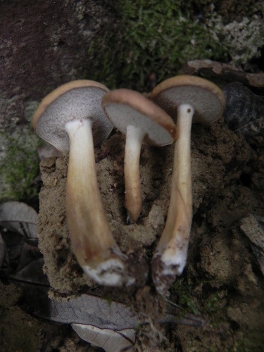 e0352220_14363167.jpg