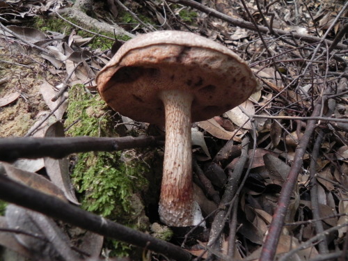 e0352220_14370377.jpg