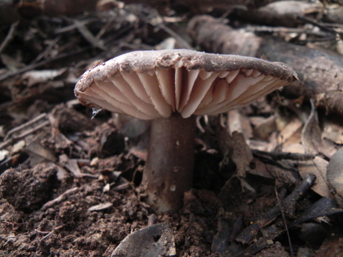 e0352220_14371828.jpg