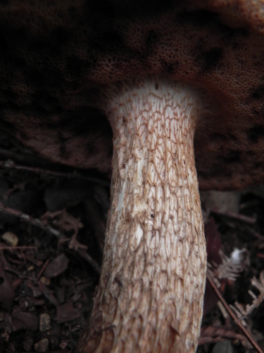 e0352220_14375138.jpg