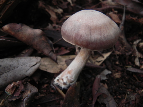 e0352220_14422503.jpg