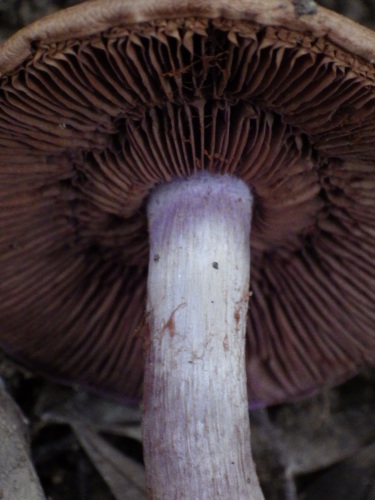 e0352220_15181207.jpg