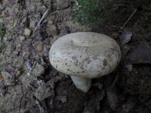 e0352220_15203550.jpg