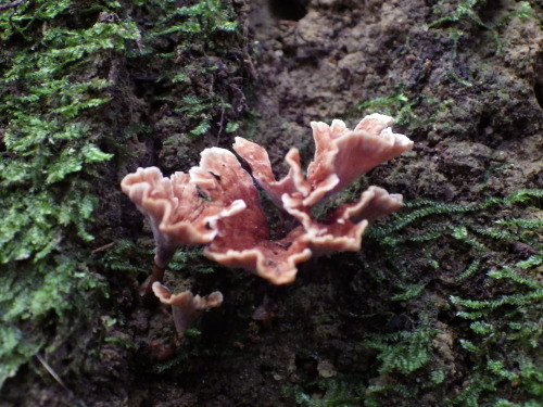e0352220_15223857.jpg