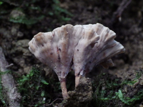 e0352220_15230592.jpg