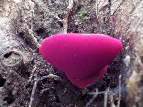 e0352220_15261152.jpg