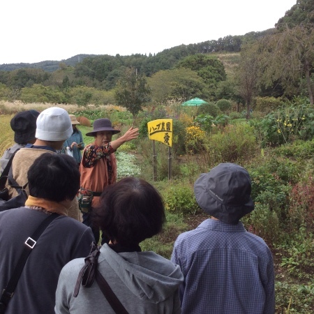 a0342324_12014300.jpeg